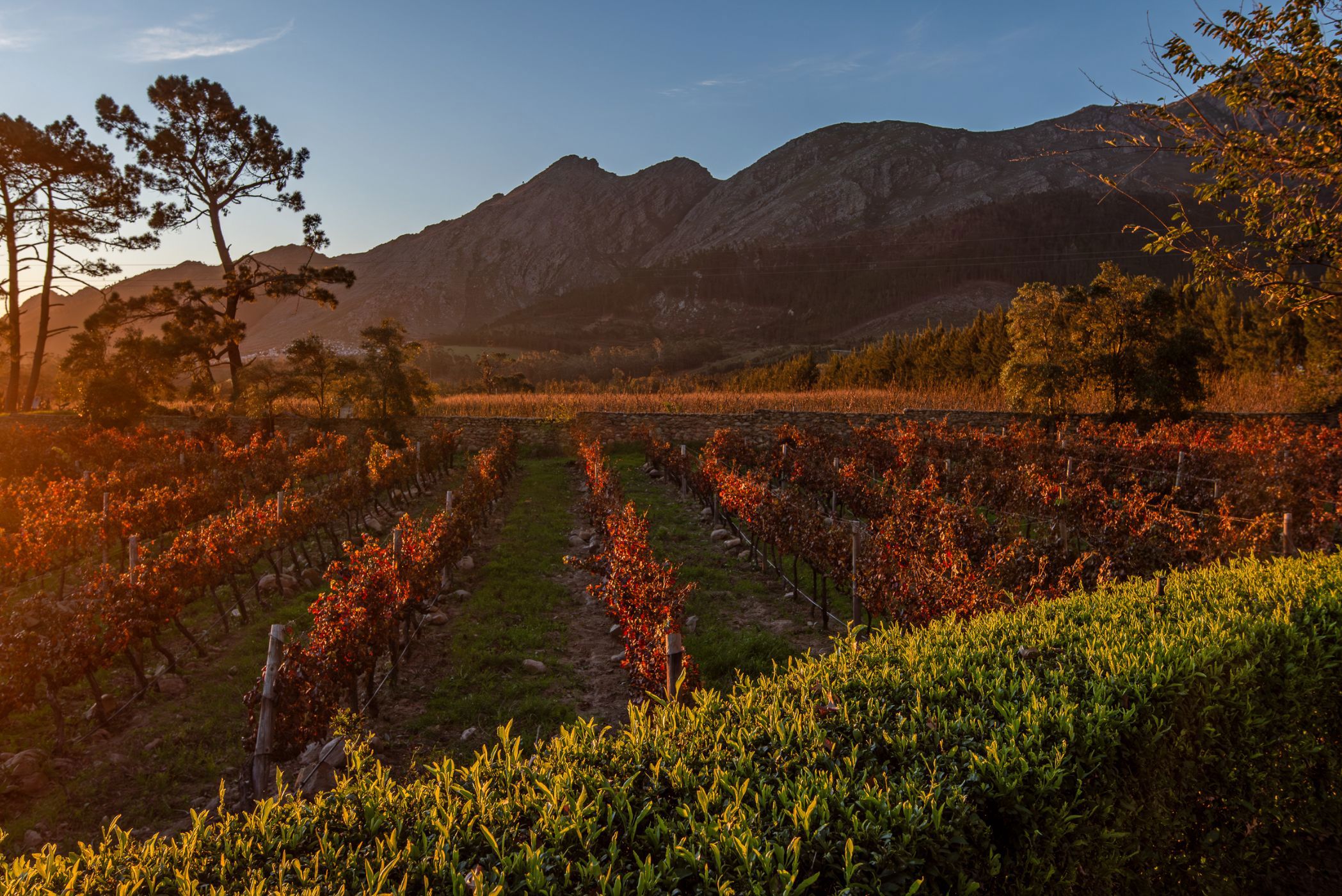 Smallholding for sale in Franschhoek - FWI1739964
