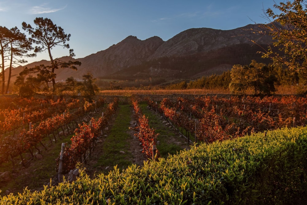 Smallholding for sale in Franschhoek - FWI1739964