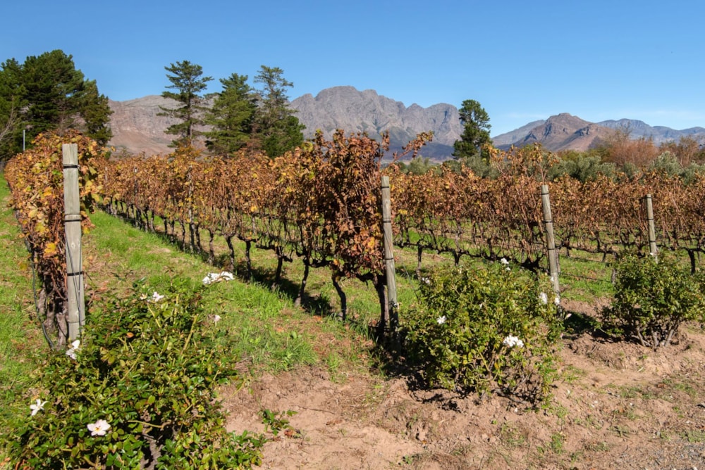 Smallholding for sale in Franschhoek - FWI1739964