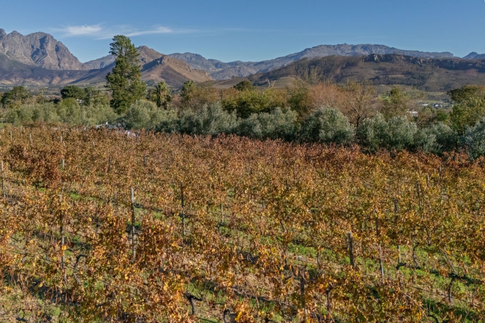 Smallholding for sale in Franschhoek - FWI1739964