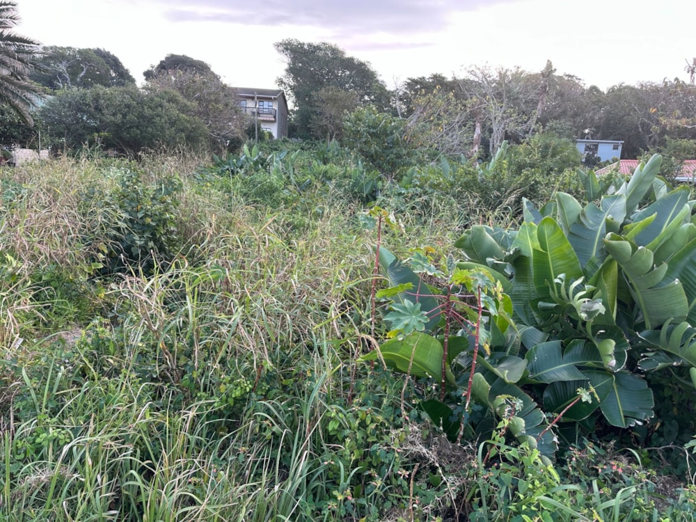 Residential vacant land for sale in Leisure Bay - 1PD1743866 Residential vacant land for sale in Leisure Bay - 1PD1743866