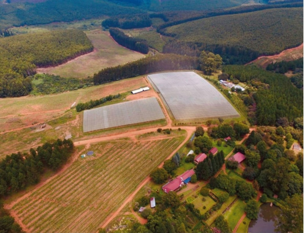 Plantation for sale in Haenertsburg - 1TA1742594