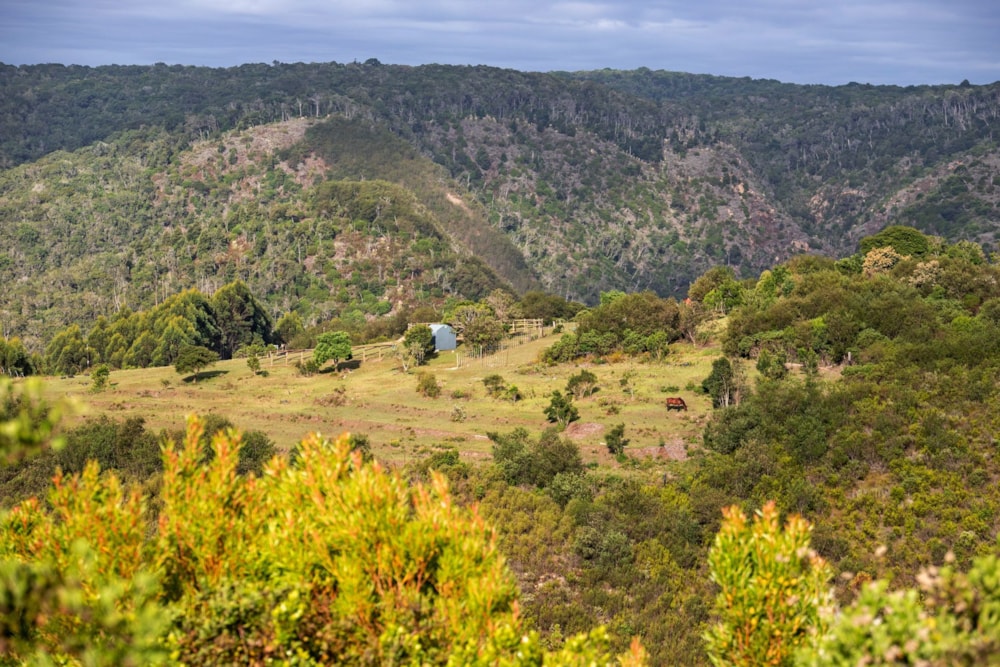 Residential vacant land for sale in Pezula Private Estate - 1KG1744367