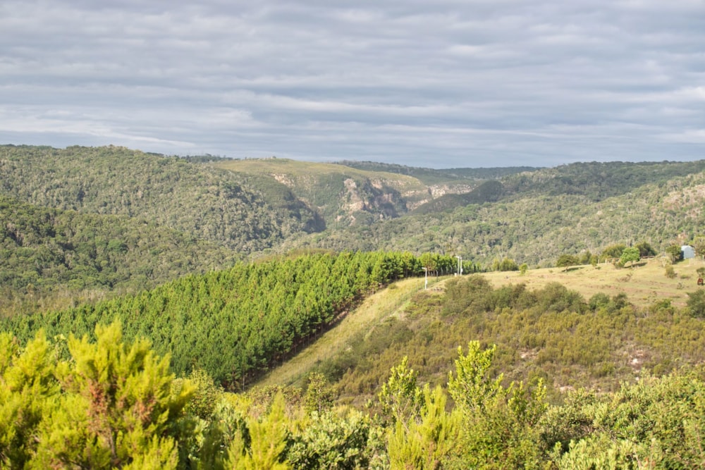 Residential vacant land for sale in Pezula Private Estate - 1KG1744367