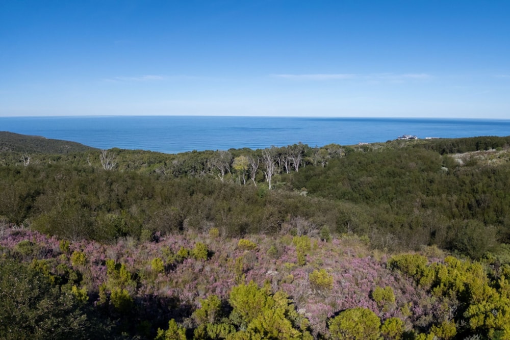 Residential vacant land for sale in Pezula Private Estate - 1KG1744422