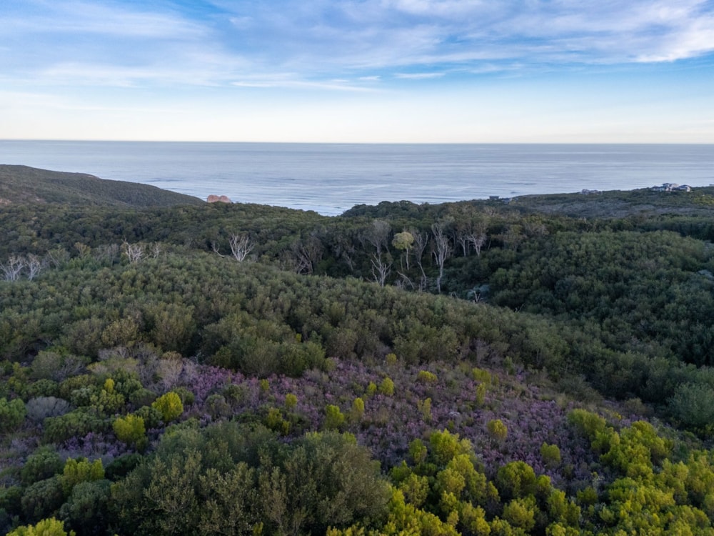 Residential vacant land for sale in Pezula Private Estate - 1KG1744422