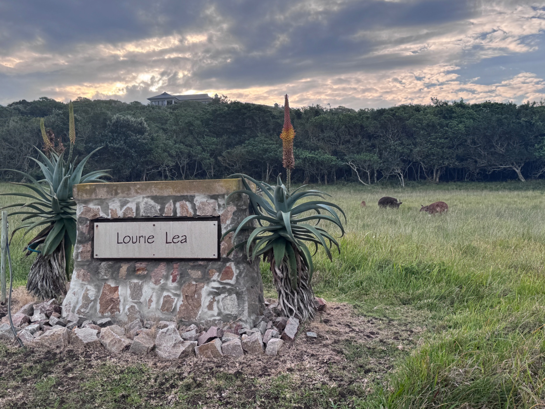 Vacant land for sale in Kenton Eco Estate - 1KO1744292