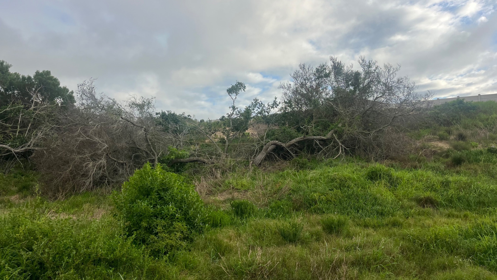 Residential vacant land for sale in Paradise Beach, Jeffreys Bay - 1JF1744957