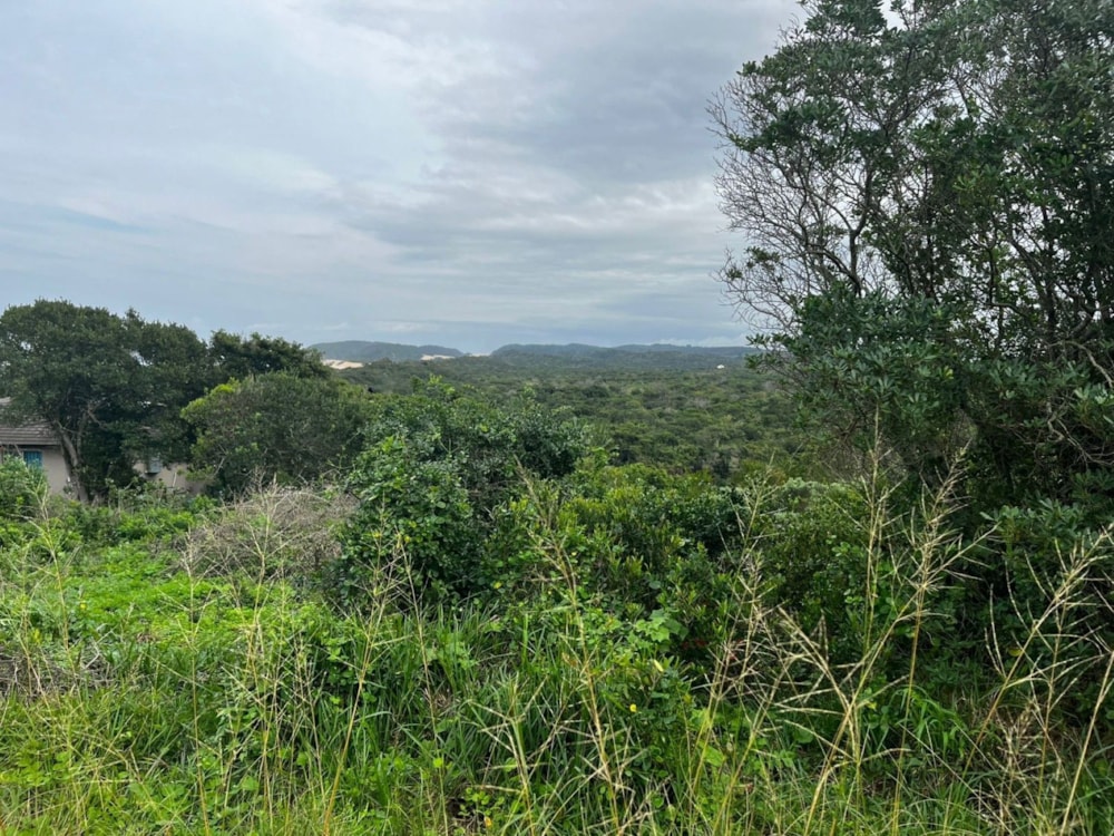 Vacant land for sale in Oyster Bay, Eastern Cape - 1SA1741758 Vacant land for sale in Oyster Bay, Eastern Cape - 1SA1741758