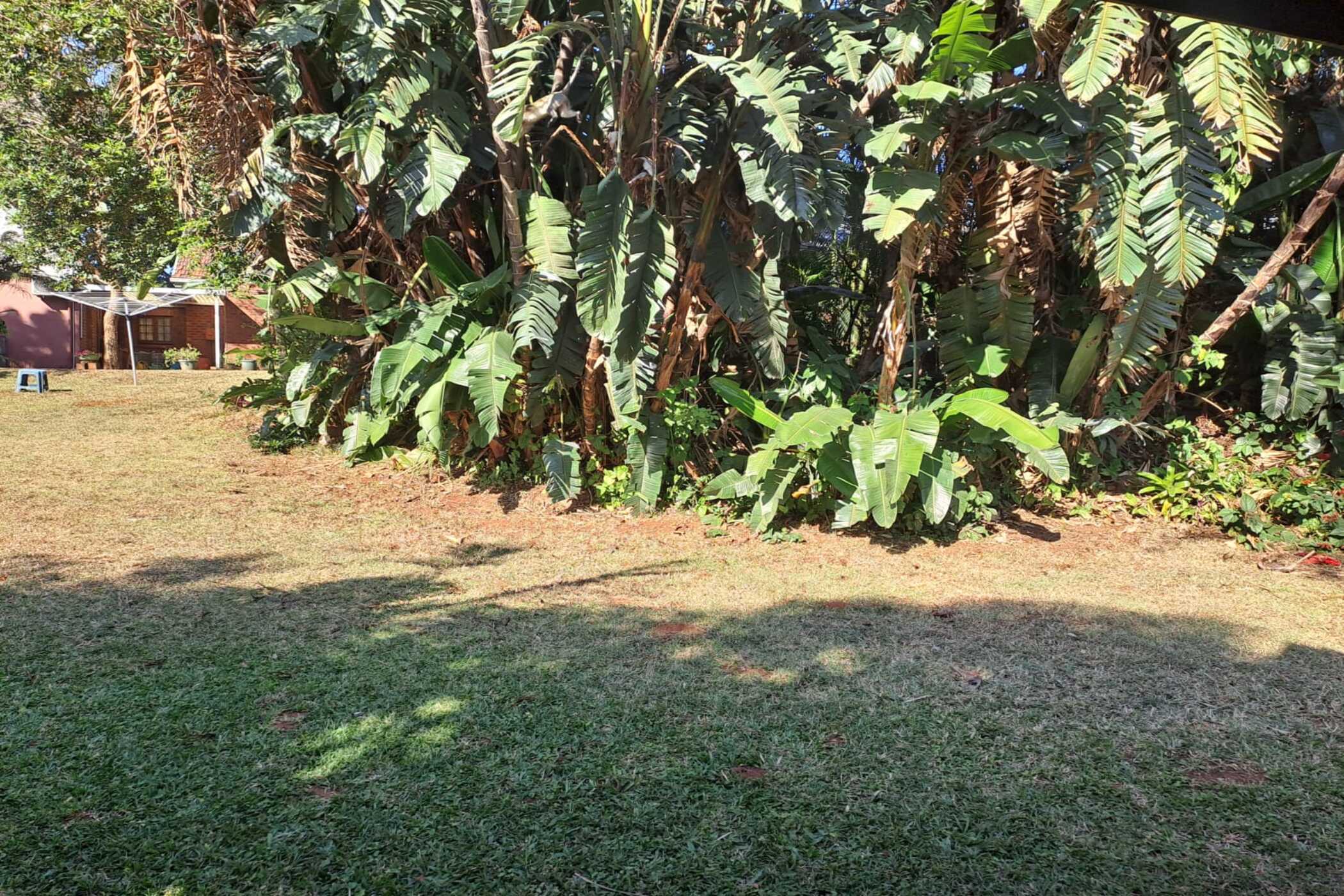 Bachelor apartment to rent in Amanzimtoti - 1WB1745175