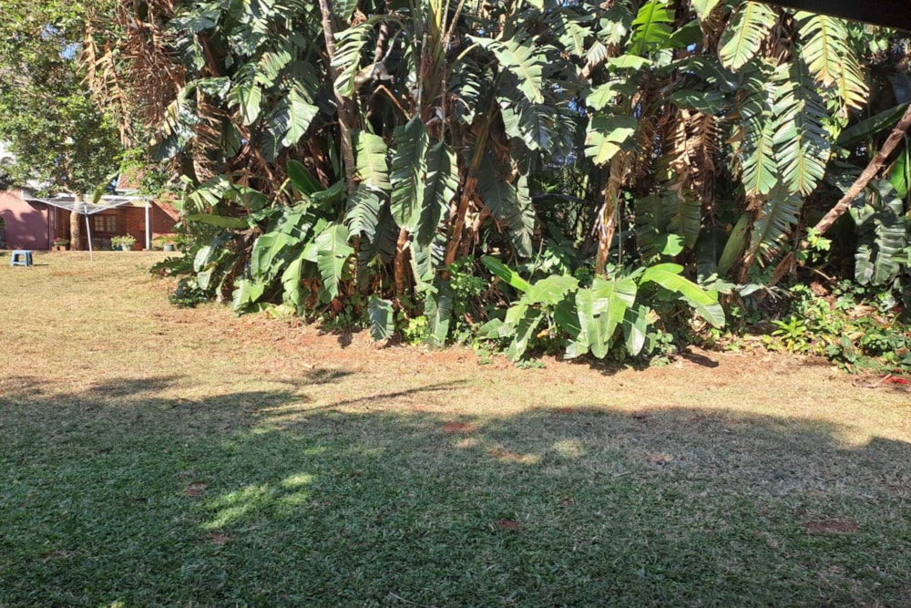 Bachelor apartment let in Amanzimtoti - 1WB1745175 Bachelor apartment let in Amanzimtoti - 1WB1745175