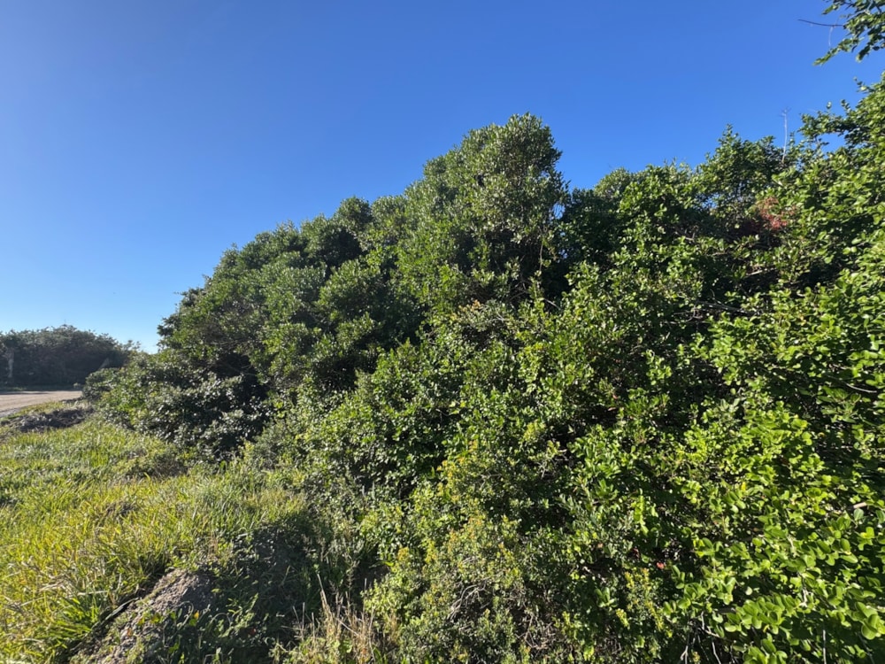 Vacant land for sale in Cannon Rocks - 1KO1747523 Vacant land for sale in Cannon Rocks - 1KO1747523