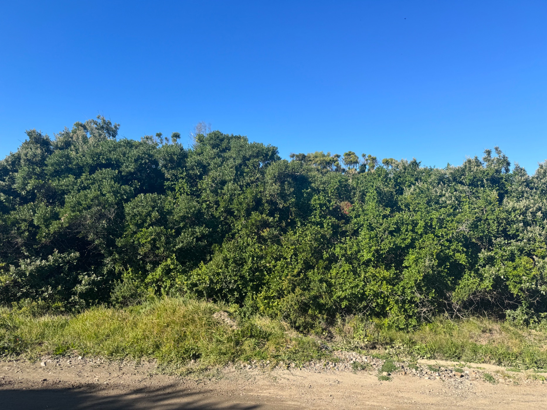 Vacant land for sale in Cannon Rocks - 1KO1747523