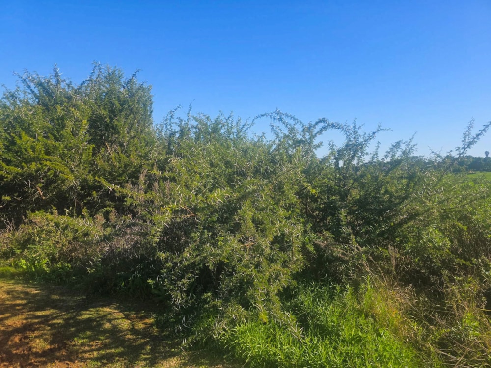 Vacant land for sale in Strelitzia Park - 1UK1743106 Vacant land for sale in Strelitzia Park - 1UK1743106
