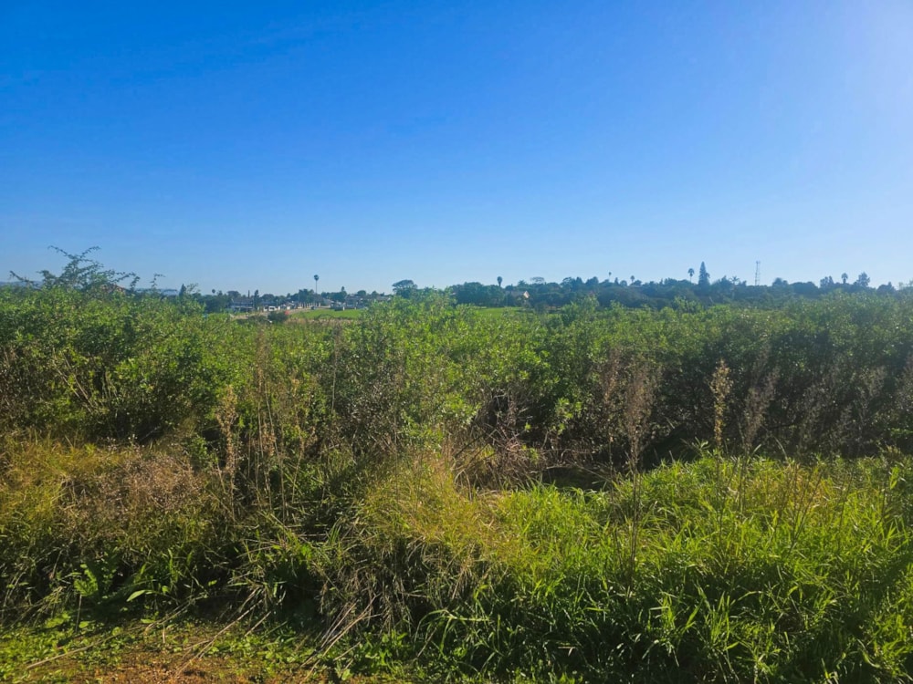 Vacant land for sale in Strelitzia Park - 1UK1743106 Vacant land for sale in Strelitzia Park - 1UK1743106