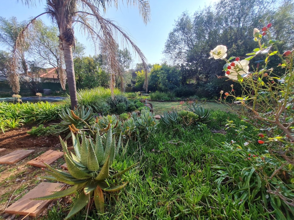House for sale in Heuwelsig, Bloemfontein - 1BX1746701 House for sale in Heuwelsig, Bloemfontein - 1BX1746701