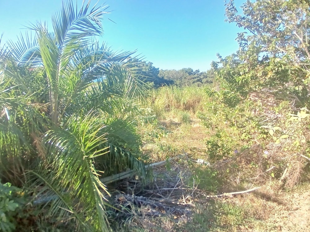 Vacant land for sale in Sea Park, Umtentweni - 1PSH1744931 Vacant land for sale in Sea Park, Umtentweni - 1PSH1744931