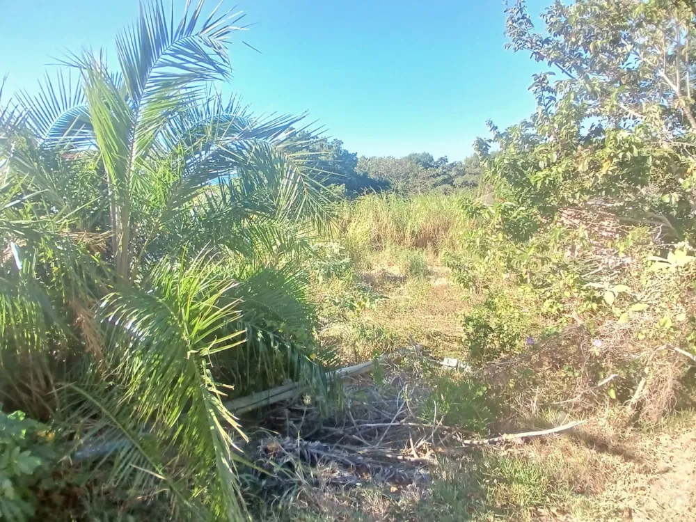 Vacant land for sale in Sea Park, Umtentweni - 1PSH1744931 Vacant land for sale in Sea Park, Umtentweni - 1PSH1744931