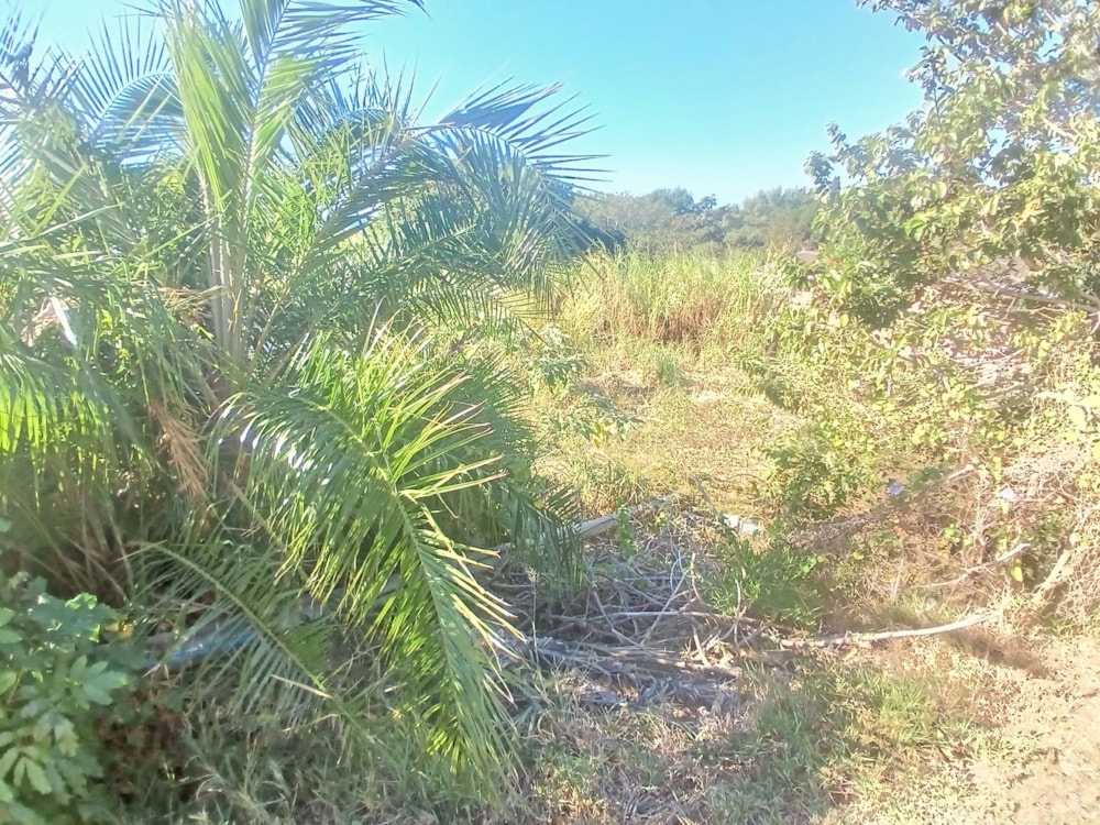 Vacant land for sale in Sea Park, Umtentweni - 1PSH1744931 Vacant land for sale in Sea Park, Umtentweni - 1PSH1744931