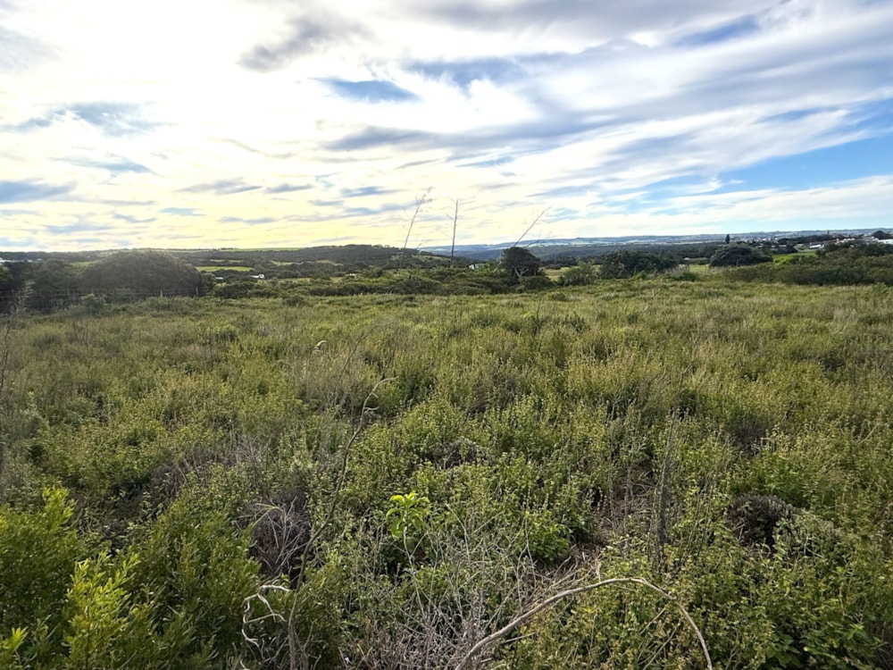 Residential vacant land for sale in Forest Downs - 1PF1745068 Residential vacant land for sale in Forest Downs - 1PF1745068