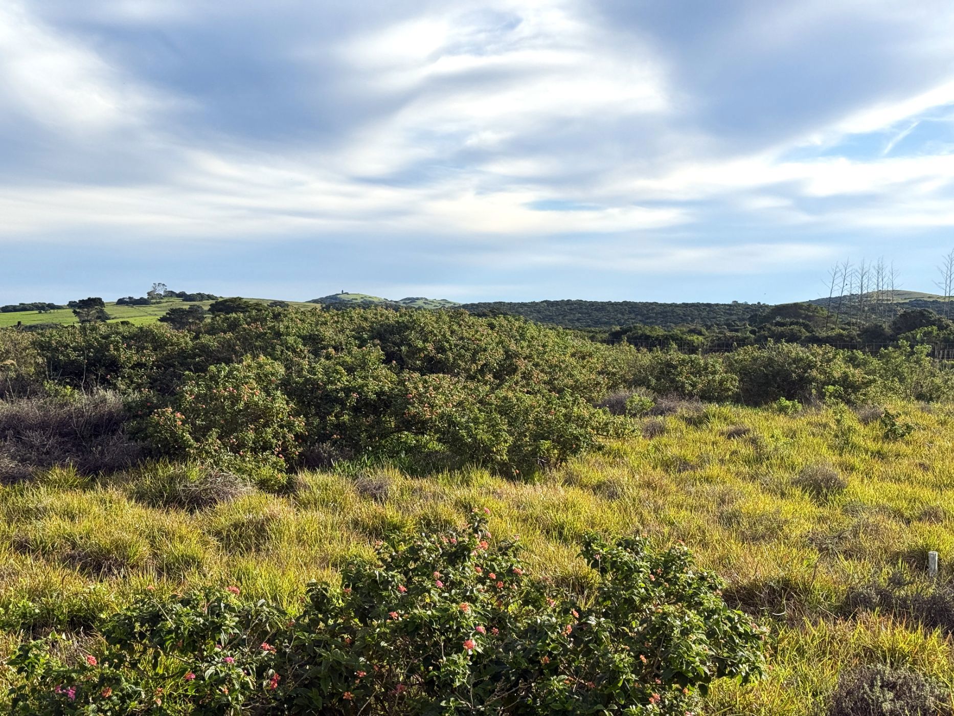 Residential vacant land for sale in Forest Downs - 1PF1745068
