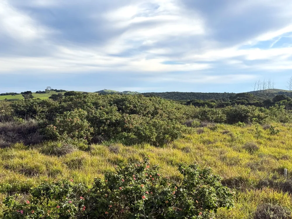 Residential vacant land for sale in Forest Downs - 1PF1745068