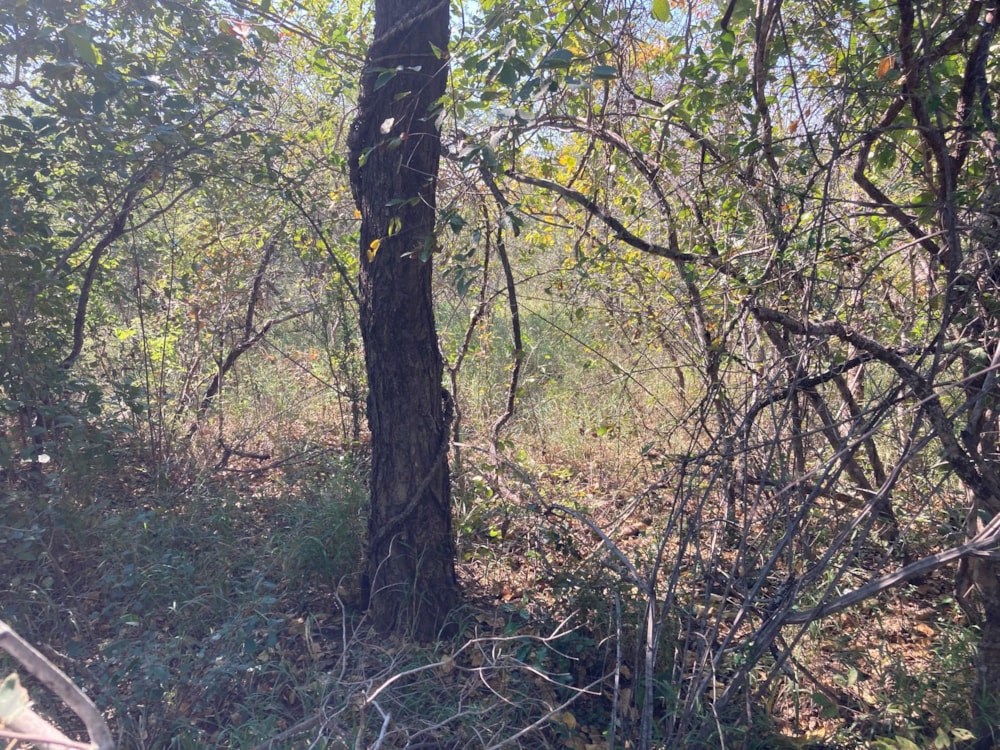 Vacant land for sale in Moditlo Nature Reserve - 1HS1744904 Vacant land for sale in Moditlo Nature Reserve - 1HS1744904