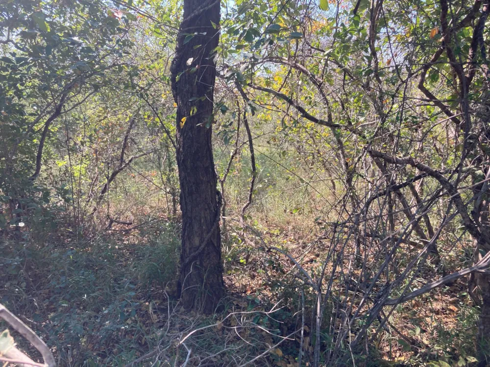 Vacant land for sale in Moditlo Nature Reserve - 1HS1744904 Vacant land for sale in Moditlo Nature Reserve - 1HS1744904