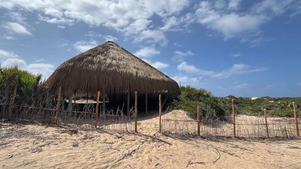 Vacant land for investment in Tofo, Mozambique - 3MQ1745679 Vacant land for investment in Tofo, Mozambique - 3MQ1745679
