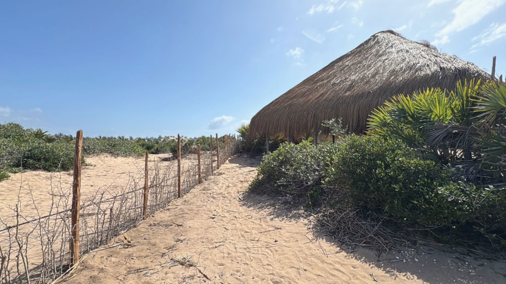 Vacant land for investment in Tofo, Mozambique - 3MQ1745679 Vacant land for investment in Tofo, Mozambique - 3MQ1745679