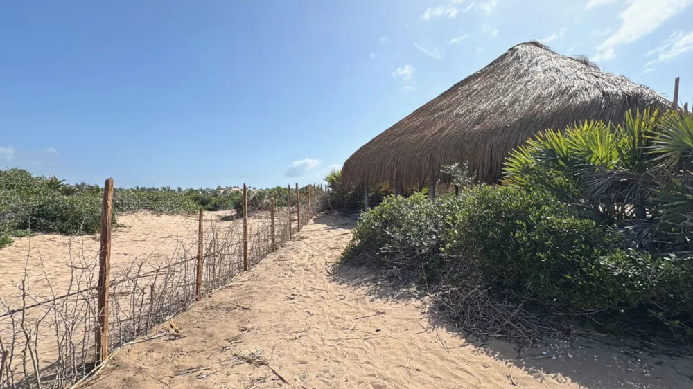Vacant land for investment in Tofo, Mozambique - 3MQ1745679 Vacant land for investment in Tofo, Mozambique - 3MQ1745679