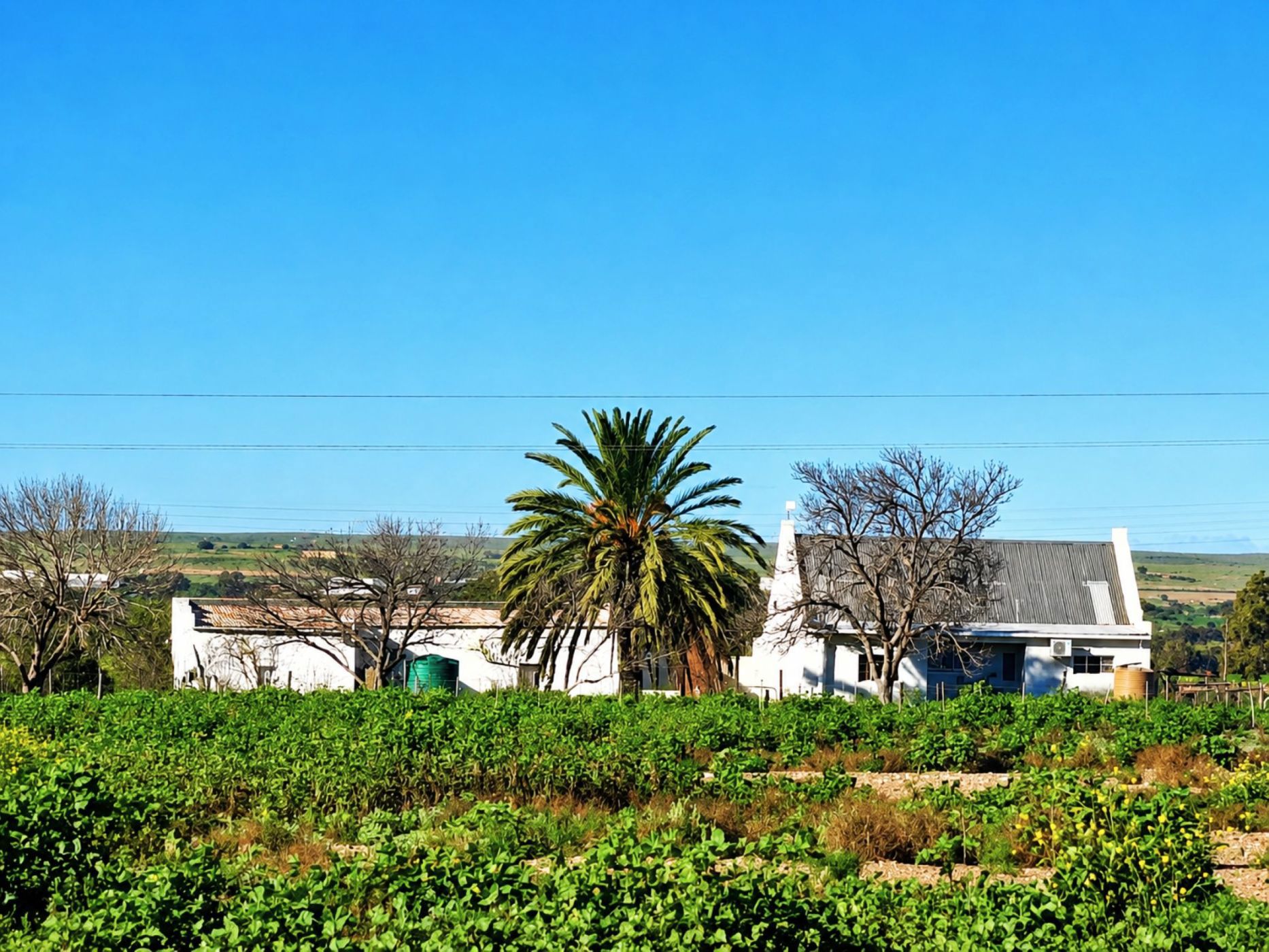 Smallholding for sale in Calitzdorp - 1OU1746620