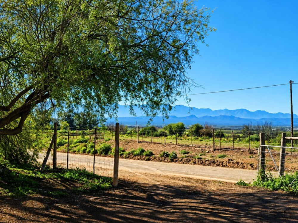 Smallholding for sale in Calitzdorp - 1OU1746620 Smallholding for sale in Calitzdorp - 1OU1746620