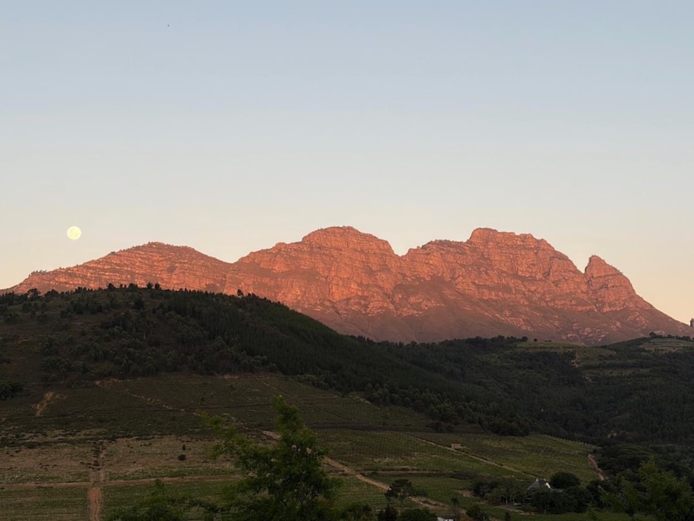 Wine farm for sale in Stellenbosch Farms - ST1713589 Wine farm for sale in Stellenbosch Farms - ST1713589