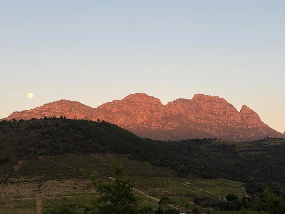 Wine farm for sale in Stellenbosch Farms - ST1713589 Wine farm for sale in Stellenbosch Farms - ST1713589