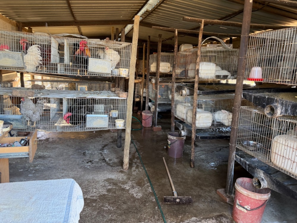 Mixed use farm for sale in Bronkhorstspruit Rural - PRN1725744 Mixed use farm for sale in Bronkhorstspruit Rural - PRN1725744