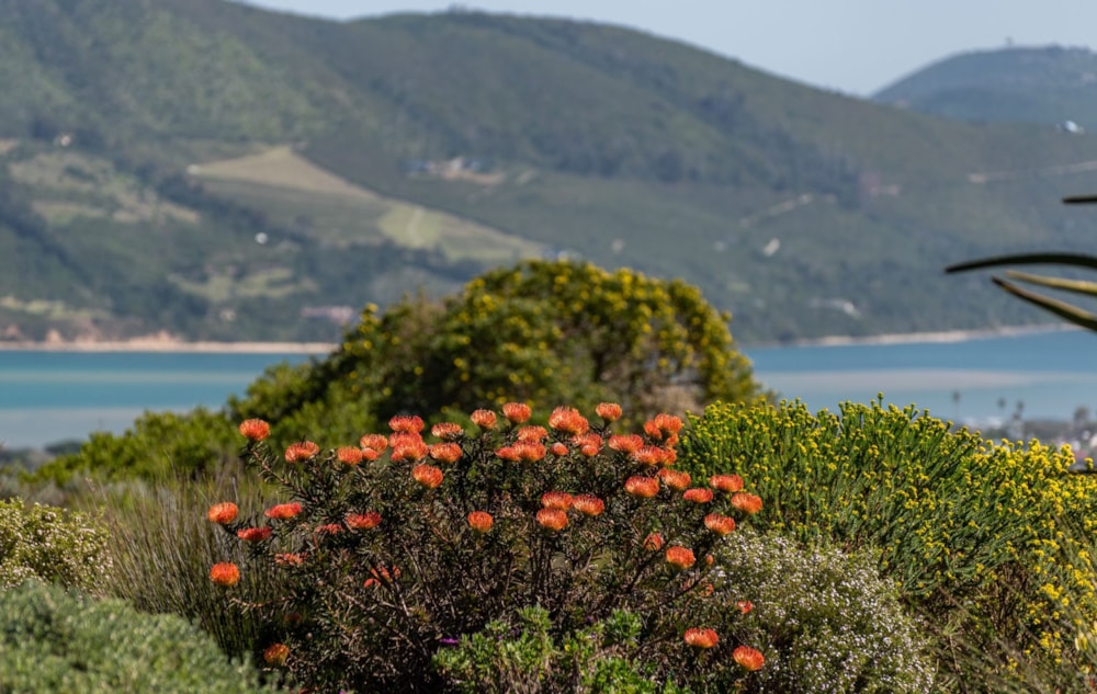 Residential vacant land for sale in Fernwood, Knysna - 1KG1731712 Residential vacant land for sale in Fernwood, Knysna - 1KG1731712