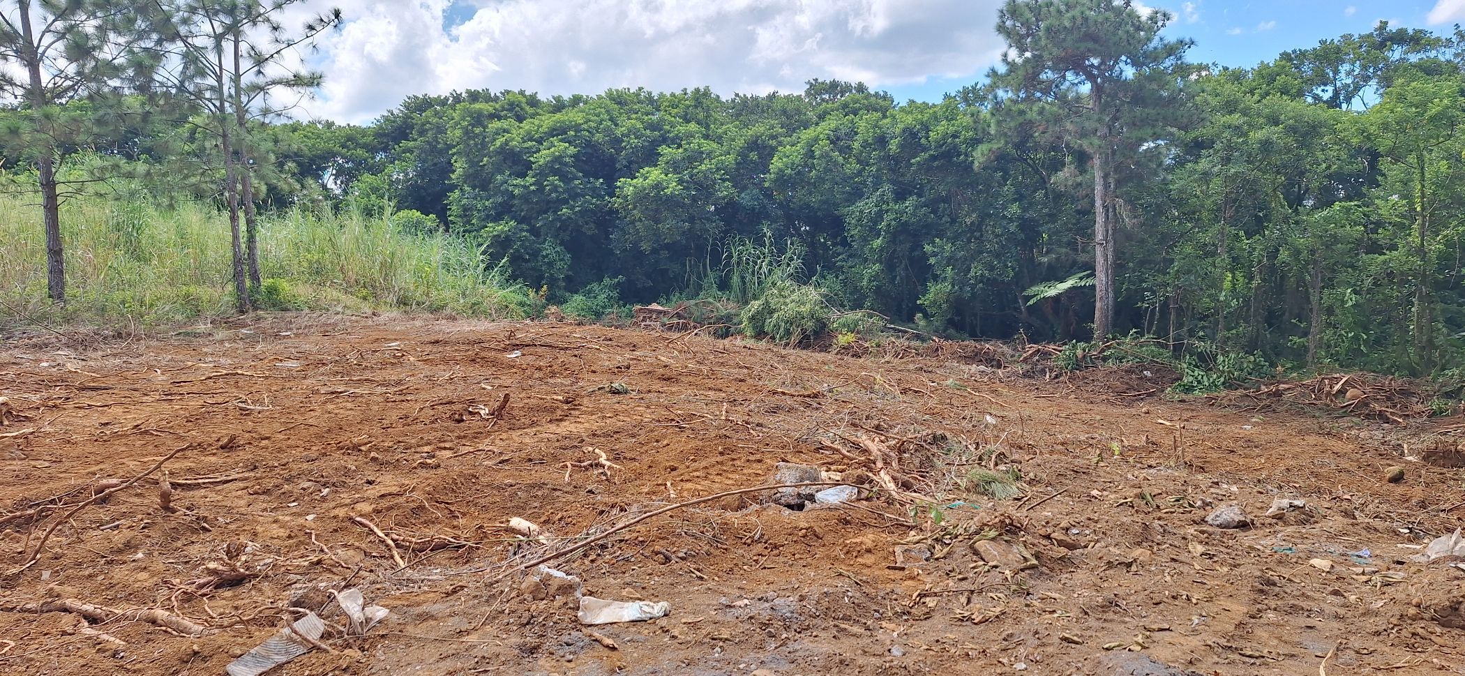 Residential vacant land for sale in Phoenix, Mauritius - MUR1738140