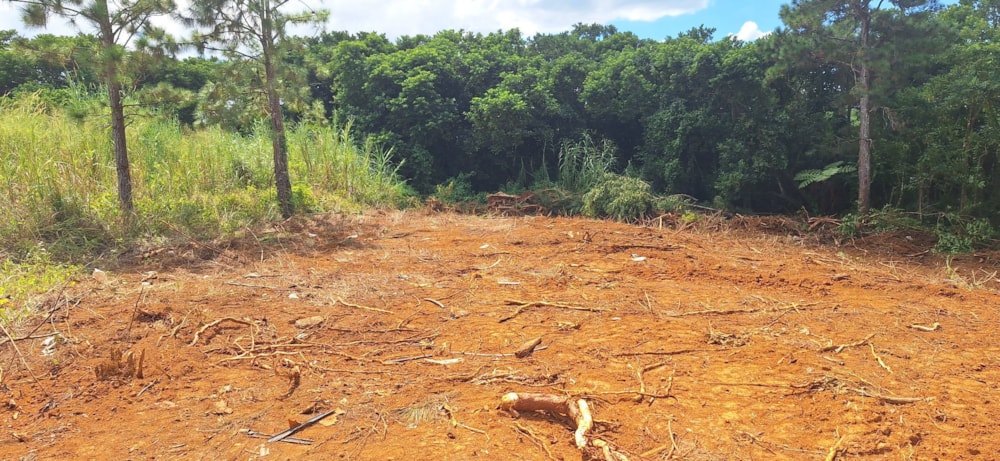 Residential vacant land for sale in Phoenix, Mauritius - MUR1738140 Residential vacant land for sale in Phoenix, Mauritius - MUR1738140