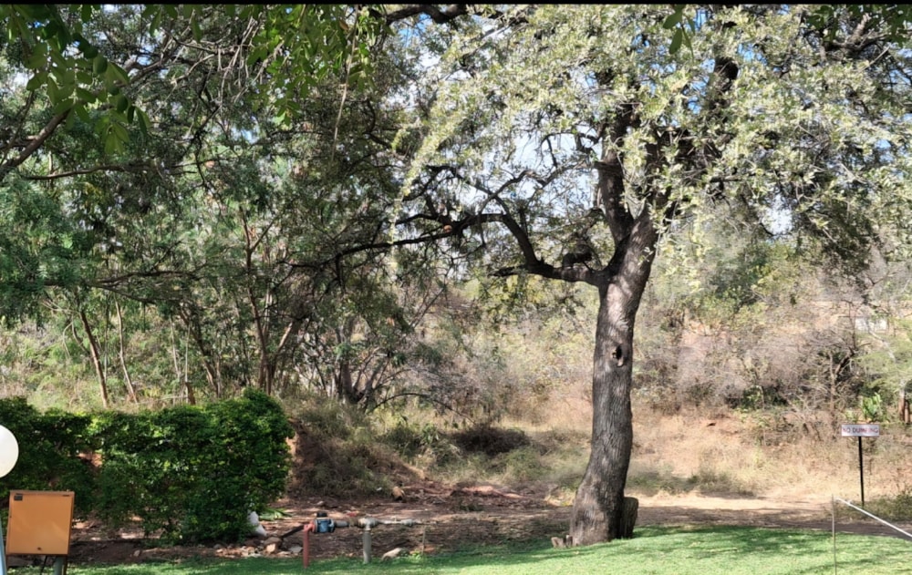 Residential vacant land for sale in Letsitele - 1TA1740639 Residential vacant land for sale in Letsitele - 1TA1740639