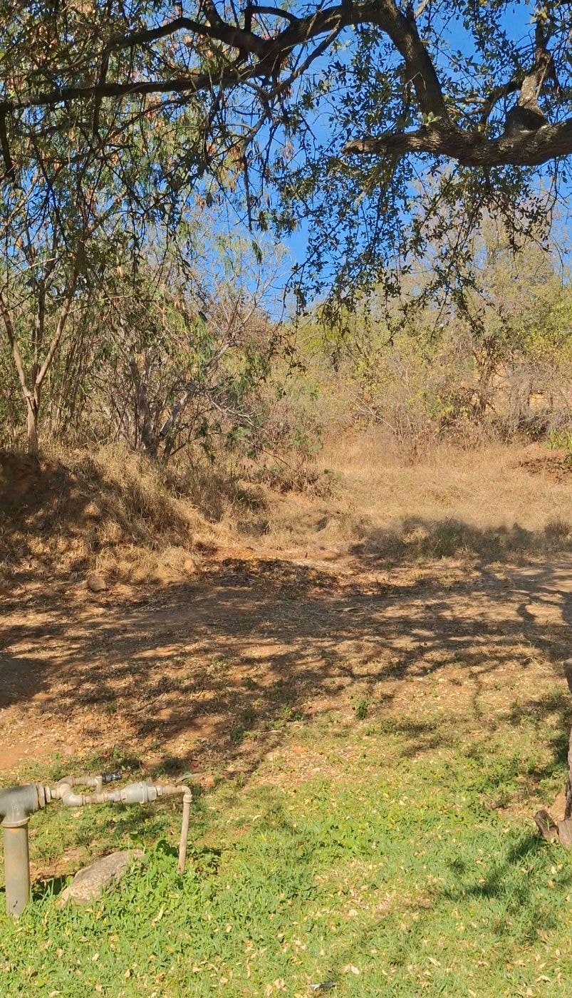 Residential vacant land for sale in Letsitele - 1TA1740639 Residential vacant land for sale in Letsitele - 1TA1740639