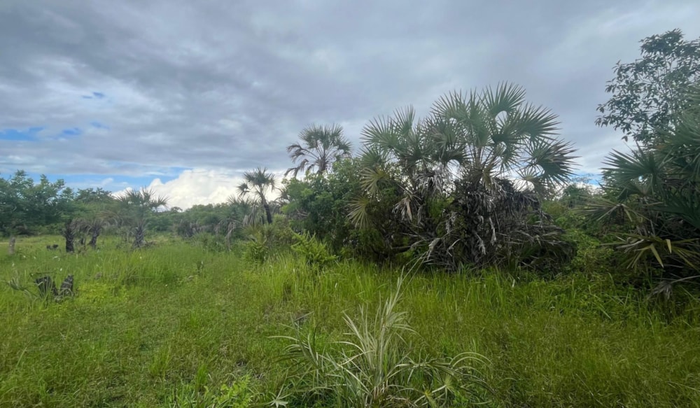 Residential vacant land for sale in South Coast, Kenya - 3KE1742392