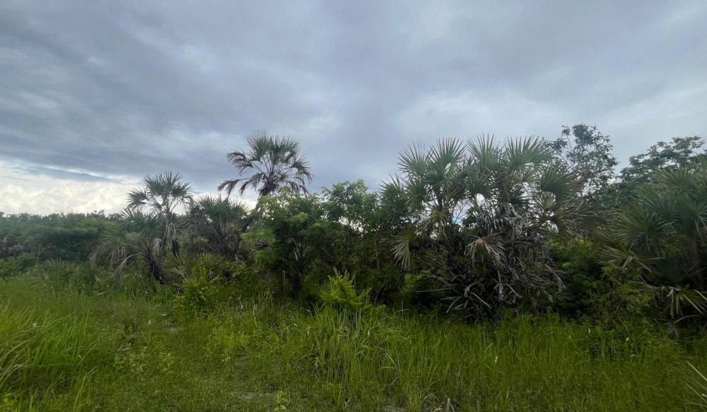 Residential vacant land for sale in South Coast, Kenya - 3KE1742392