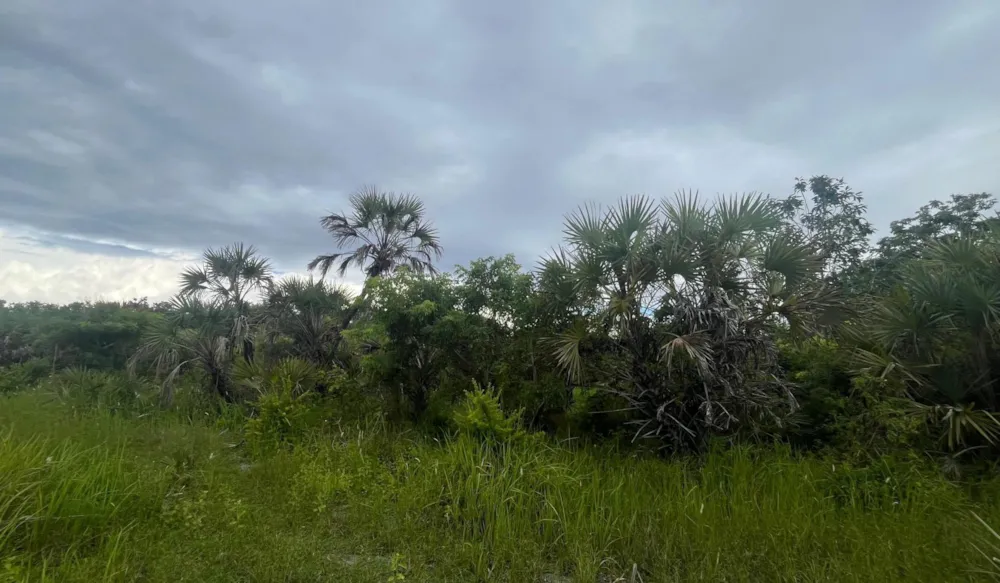 Residential vacant land for sale in South Coast, Kenya - 3KE1742392 Residential vacant land for sale in South Coast, Kenya - 3KE1742392