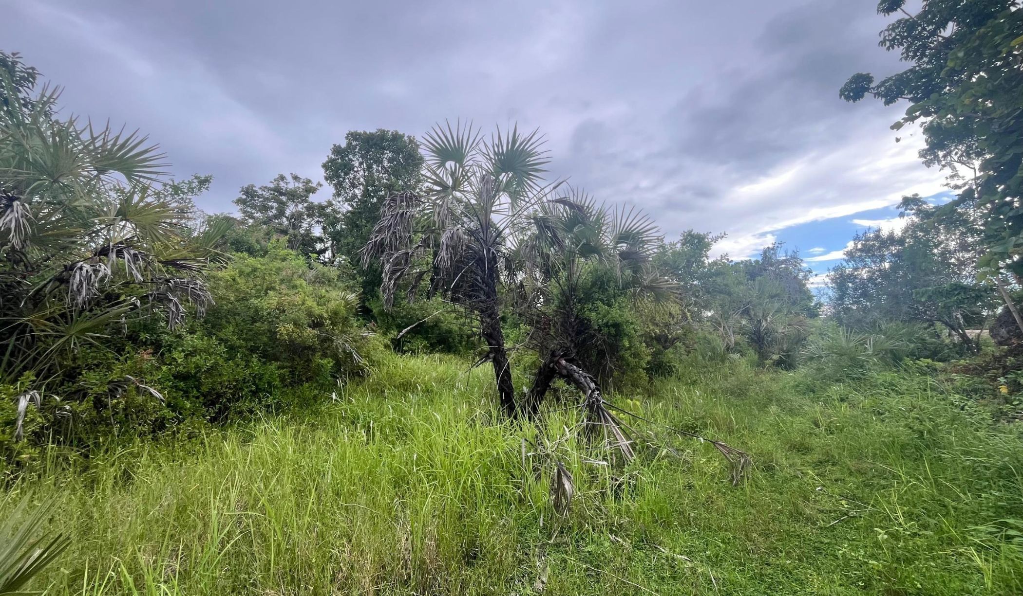 Residential vacant land for sale in South Coast, Kenya - 3KE1742392