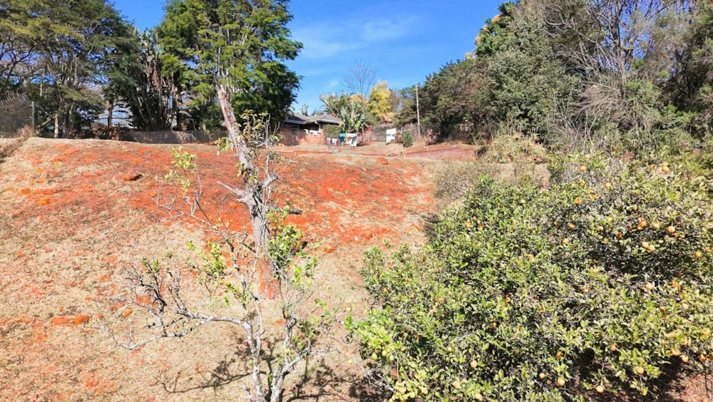 Residential vacant land for sale in Montrose - 1PM1746649 Residential vacant land for sale in Montrose - 1PM1746649