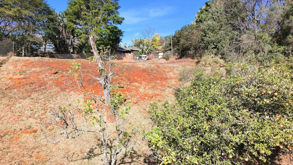 Residential vacant land for sale in Montrose - 1PM1746649 Residential vacant land for sale in Montrose - 1PM1746649