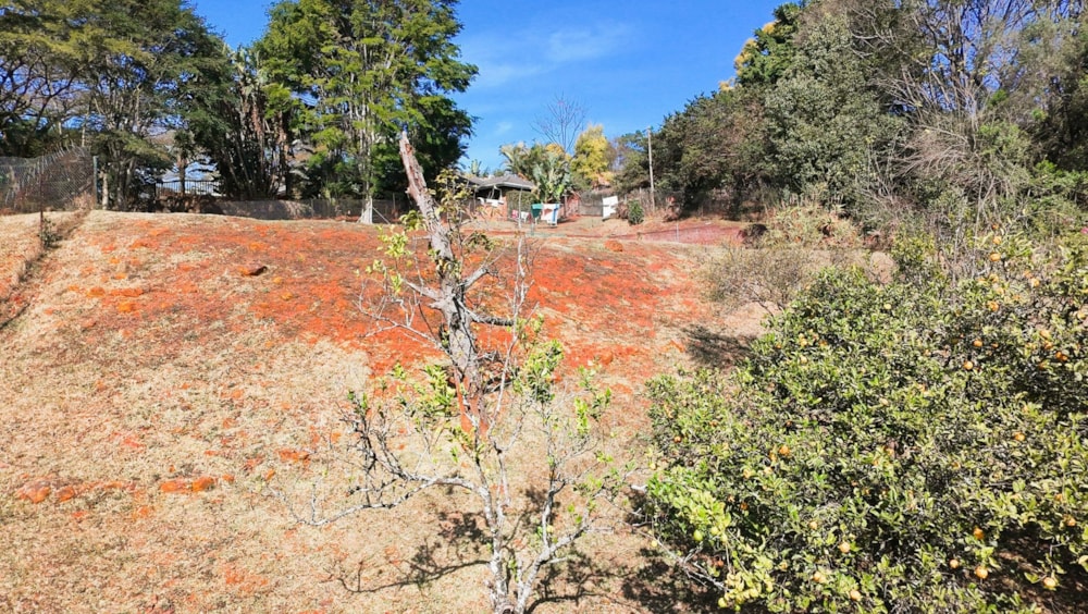 Residential vacant land for sale in Montrose - 1PM1746649 Residential vacant land for sale in Montrose - 1PM1746649