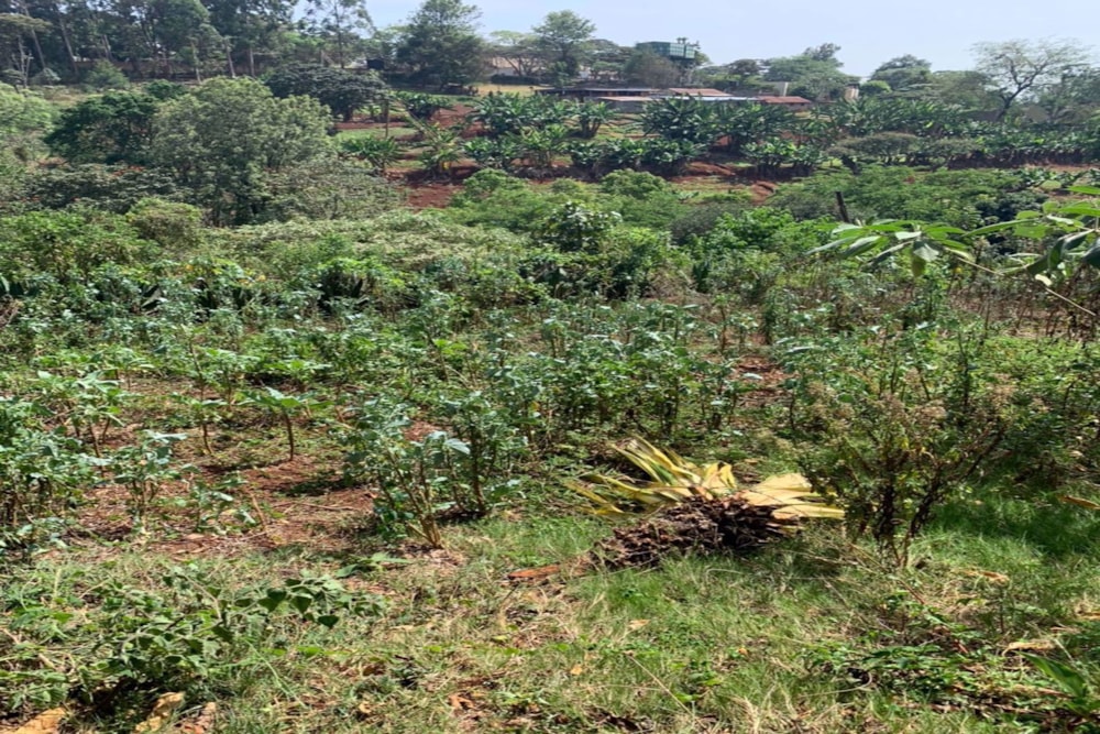 Vacant land for sale in Kitisuru, Kenya - 3KE1743898