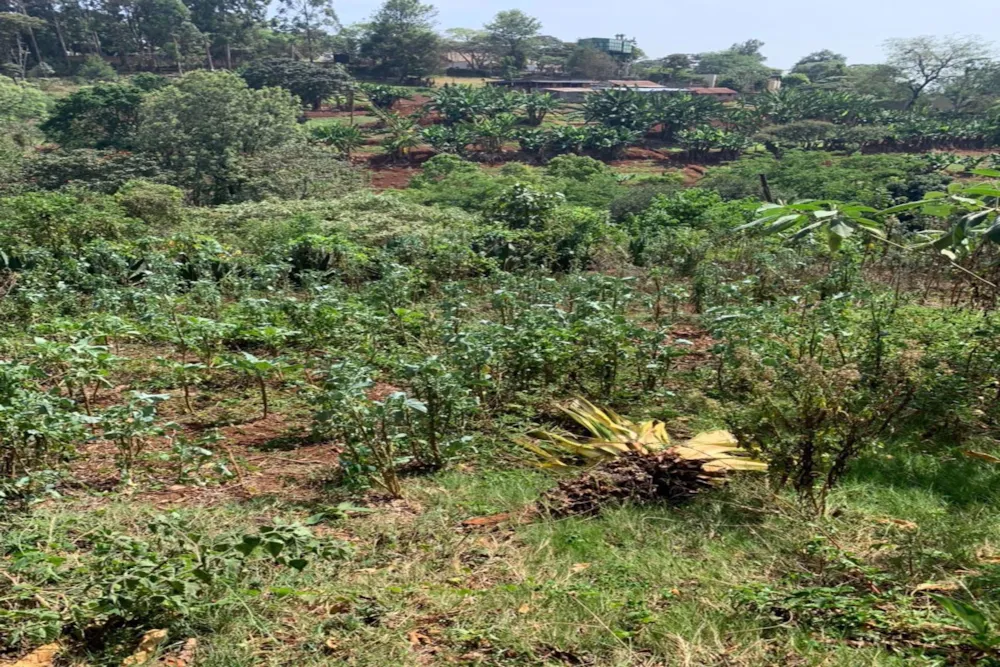 Vacant land for sale in Kitisuru, Kenya - 3KE1743898 Vacant land for sale in Kitisuru, Kenya - 3KE1743898